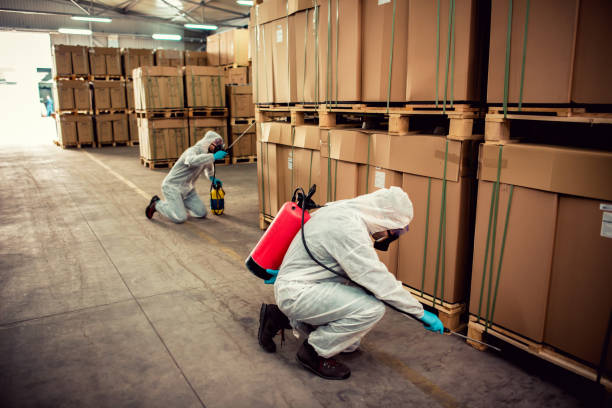 Best Pest Inspection Near Me  in Waverly, NY