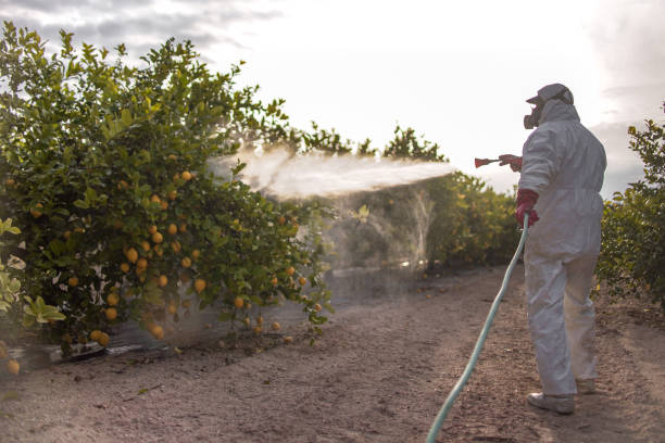 Best Pest Control Near Me  in Waverly, NY