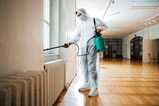 Best Residential Pest Control  in Waverly, NY